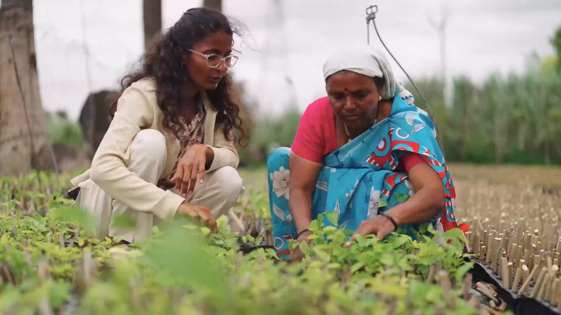 Two women crouch among trays of seedlings in a plant nursery.